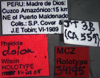 Media type: image;   Entomology 34195 Aspect: labels